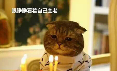 过年回家十大“毒舌”问题都有哪些？