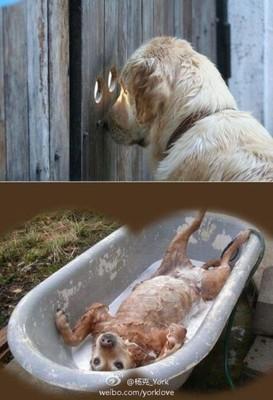 为什么偷看女伴洗澡