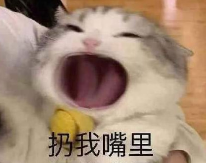 轻松一刻:这一类人,唐僧进了女儿国都没你们自律 轻松一刻:这一类人,唐僧进了女儿国都没你们自律