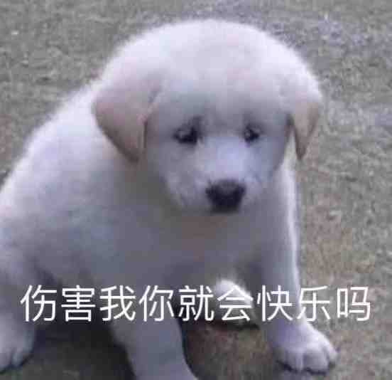 轻松一刻:这一类人,唐僧进了女儿国都没你们自律 轻松一刻:这一类人,唐僧进了女儿国都没你们自律