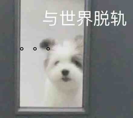 轻松一刻:这一类人,唐僧进了女儿国都没你们自律 轻松一刻:这一类人,唐僧进了女儿国都没你们自律