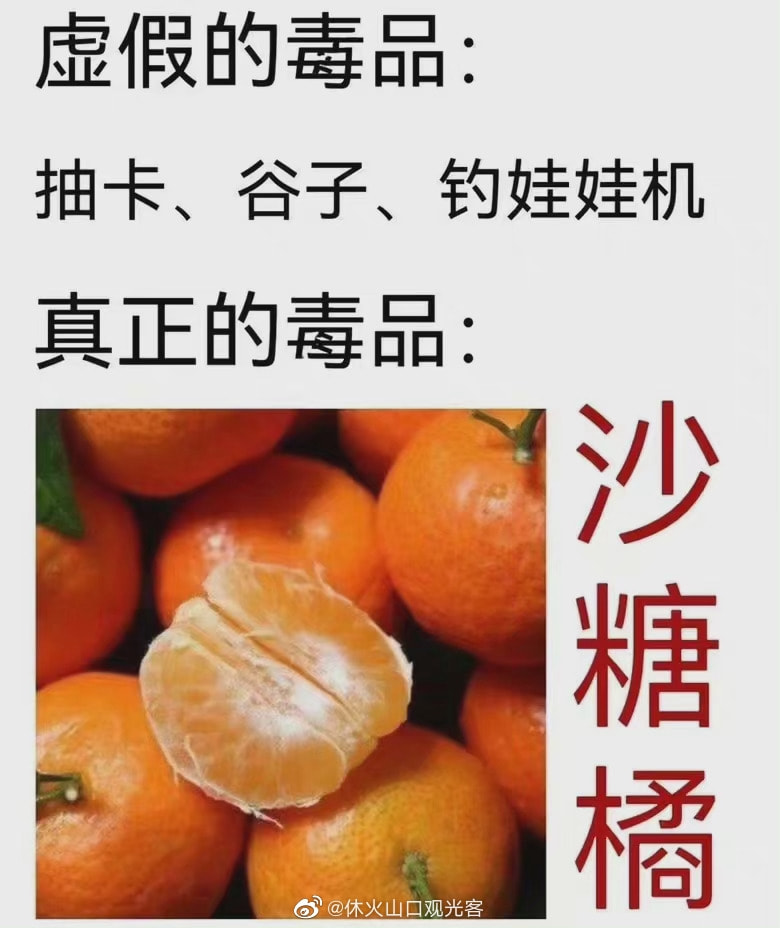 轻松一刻:这一类人,唐僧进了女儿国都没你们自律 轻松一刻:这一类人,唐僧进了女儿国都没你们自律
