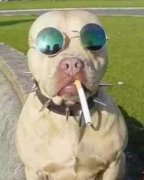 美滋滋的生活。。 美滋滋的生活。。