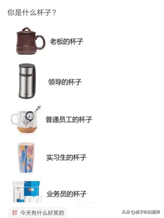 “你用什么杯子,暴露了你是什么工作职位?”神评过分了!哈哈哈 “你用什么杯子,暴露了你是什么工作职位?”神评过分了!哈哈哈