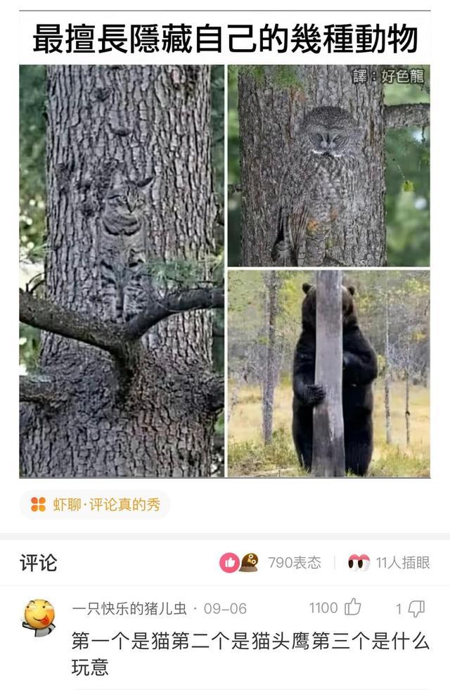 “你用什么杯子,暴露了你是什么工作职位?”神评过分了!哈哈哈 “你用什么杯子,暴露了你是什么工作职位?”神评过分了!哈哈哈