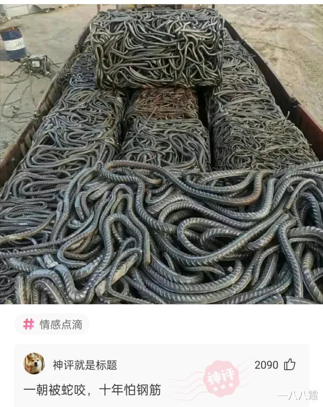 “请给这道乌龟炖鸡取个眼前一亮的名字!”哈哈哈霸王别姬 “请给这道乌龟炖鸡取个眼前一亮的名字!”哈哈哈霸王别姬