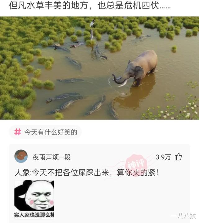 “请给这道乌龟炖鸡取个眼前一亮的名字!”哈哈哈霸王别姬 “请给这道乌龟炖鸡取个眼前一亮的名字!”哈哈哈霸王别姬