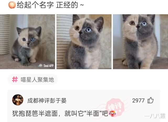 “你们给评评,这焊得属于啥水平?”哈哈哈传说中的侠级霸焊 “你们给评评,这焊得属于啥水平?”哈哈哈传说中的侠级霸焊