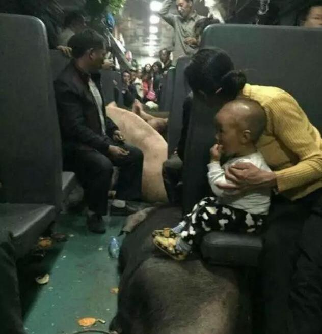 这趟车一路坐的真尴尬,要不是有人提醒我都怀疑是自己上错了车 这趟车一路坐的真尴尬,要不是有人提醒我都怀疑是自己上错了车
