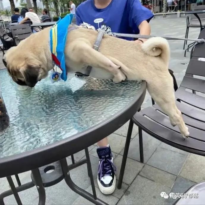 被后海大爷支配的恐惧 被后海大爷支配的恐惧