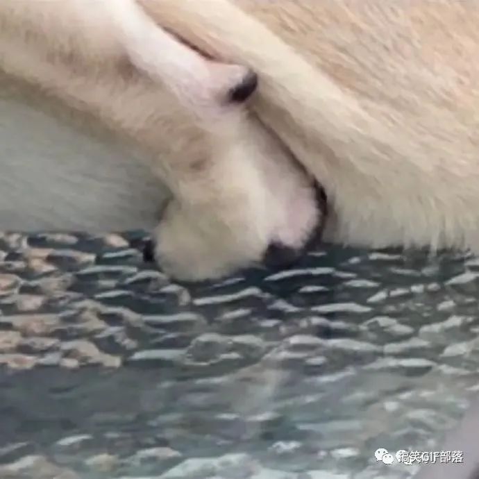 被后海大爷支配的恐惧 被后海大爷支配的恐惧