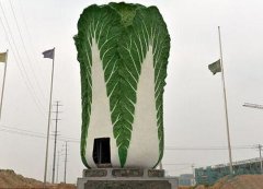 好大的白菜