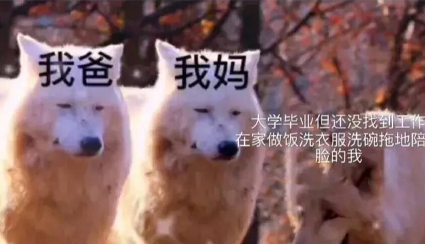 “为什么男朋友的初次一直进不去?”哈哈哈没人教你怎么穿针吗? “为什么男朋友的初次一直进不去?”哈哈哈没人教你怎么穿针吗?