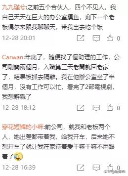 一家公司能放飞成什么样子 你们去的都是假公司吗哈哈哈