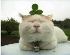 永远都是笑眯眯 永远都是笑眯眯