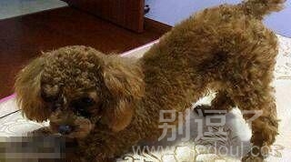 坚持做瑜伽才能保持好身材 坚持做瑜伽才能保持好身材