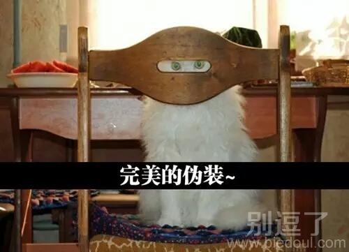 你看不到我你看不到我 你看不到我你看不到我