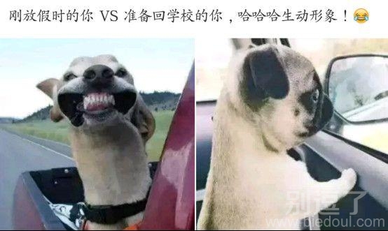 开学前的你对比快放假时的你 开学前的你对比快放假时的你