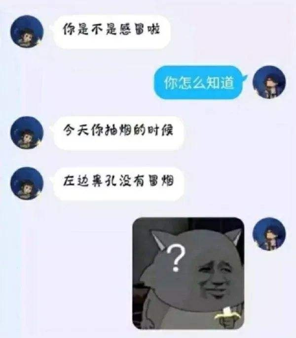 轻松一刻:不给裹照就杀猫?这下好了年夜饭有着落了! 轻松一刻:不给裹照就杀猫?这下好了年夜饭有着落了!
