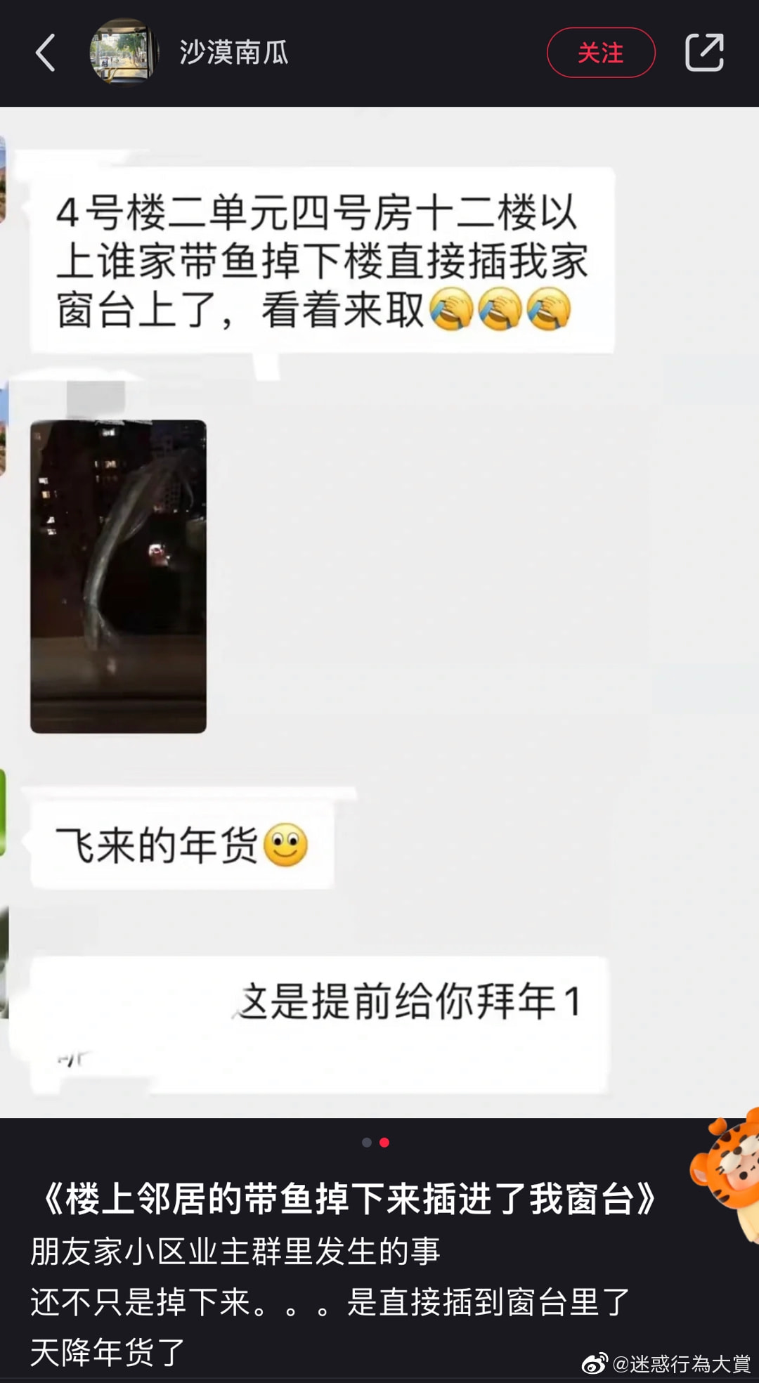 轻松一刻:不给裹照就杀猫?这下好了年夜饭有着落了! 轻松一刻:不给裹照就杀猫?这下好了年夜饭有着落了!
