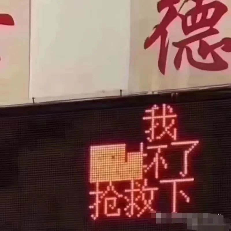 轻松一刻:不给裹照就杀猫?这下好了年夜饭有着落了! 轻松一刻:不给裹照就杀猫?这下好了年夜饭有着落了!