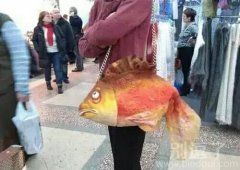 包不错，就是眼睛没有神