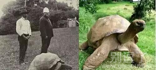 感觉没什么变化呀 感觉没什么变化呀