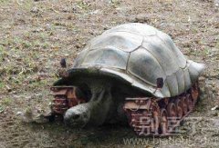 无敌乌龟坦克,冲啊 无敌乌龟坦克,冲啊