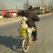 天气不错，带我的宝贝溜溜弯