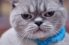 戴口罩的妹子们。