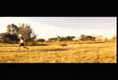 看谁跑得快，二货