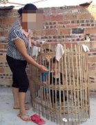 这是要圈养吗 这是要圈养吗