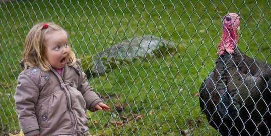 麻麻 麻麻 那是鸡鸡么 麻麻 麻麻 那是鸡鸡么