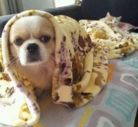 看什么看 我们同居好久了