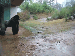 下雨天没有带伞的我 下雨天没有带伞的我