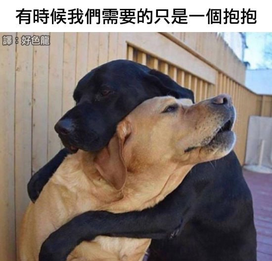 轻松一刻:人生经不起猎艳,大爷受不住考验 轻松一刻:人生经不起猎艳,大爷受不住考验