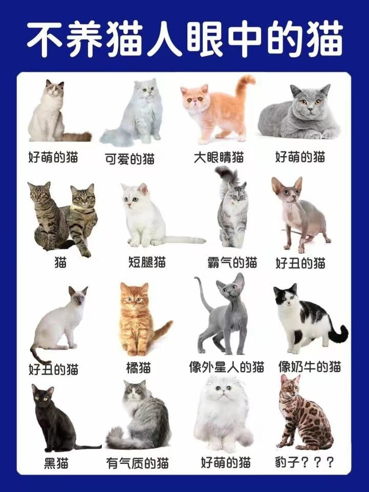 轻松一刻:人生经不起猎艳,大爷受不住考验 轻松一刻:人生经不起猎艳,大爷受不住考验