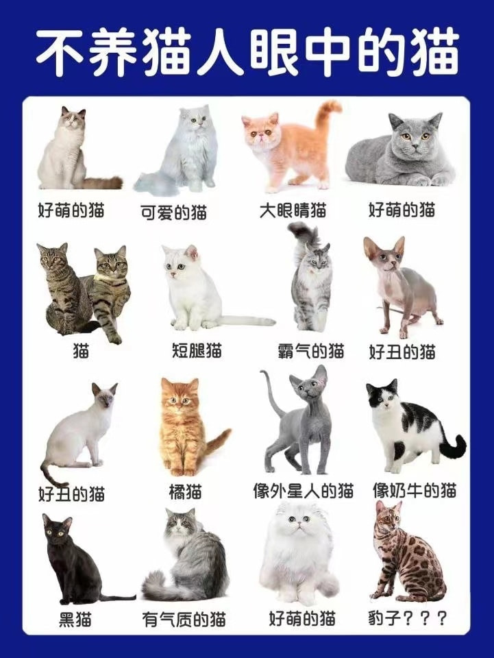 轻松一刻：人生经不起猎艳，大爷受不住考验