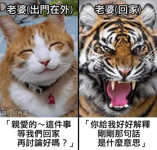 轻松一刻：人生经不起猎艳，大爷受不住考验