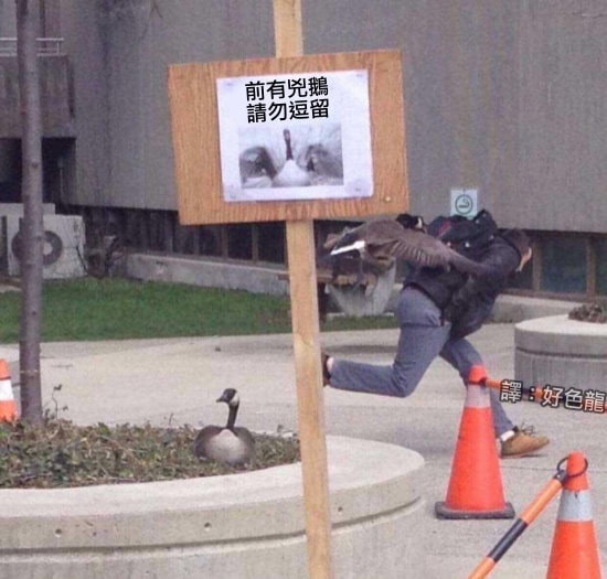 轻松一刻:人生经不起猎艳,大爷受不住考验 轻松一刻:人生经不起猎艳,大爷受不住考验