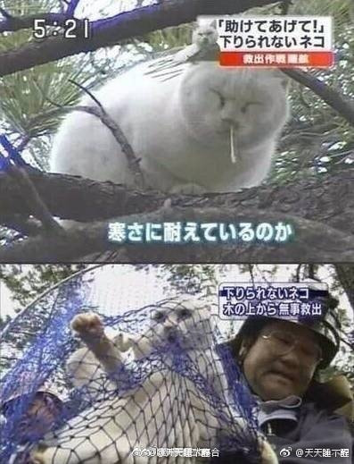 轻松一刻:人生经不起猎艳,大爷受不住考验 轻松一刻:人生经不起猎艳,大爷受不住考验