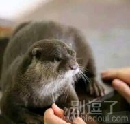 咋那么高冷呢？？