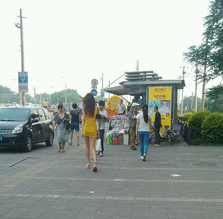 白富美和矮挫丑的区别