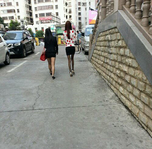 白富美和矮挫丑的区别