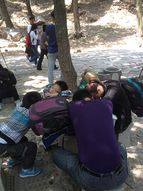 睡觉姿势集锦,睡出前生今世,睡出国泰民安！