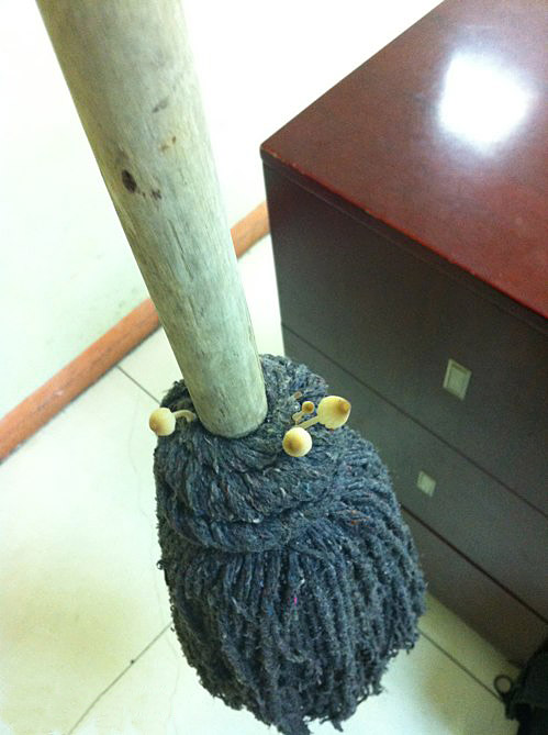 简单的生活照中,蕴含着丰富的搞笑事情