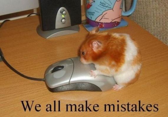 人类最好的伙伴广大动物们