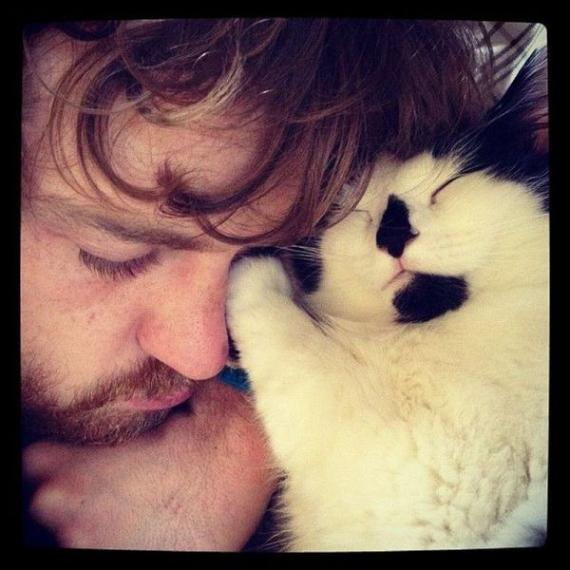 人类最好的伙伴广大动物们