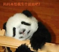 妈妈给我生个姐姐好不好