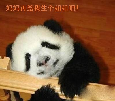 妈妈给我生个姐姐好不好